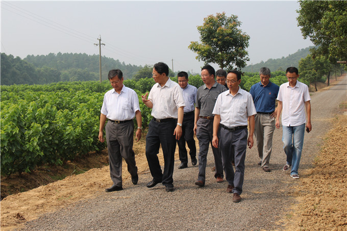 省國資委副主任王正宇赴蘇豪蠶種公司開展“三解三促”活動(dòng)